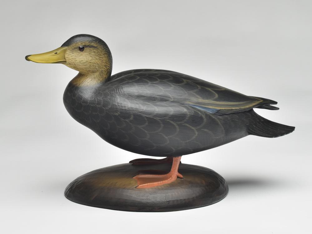 Standing black duck, George Strunk, Glendora, New (1 of 3)