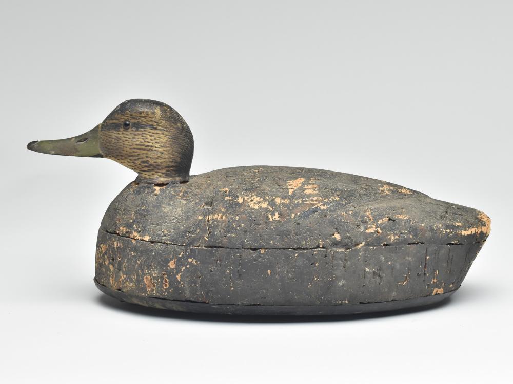 Black duck, Elmer Crowell, East Harwich, Massachusetts,: Black duck, Elmer Crowell, East Harwich, Massachusetts, 1st quarter 20th century. Cork body with wooden bottom board that bares Crowell's perfect oval brand. Also branded "Winthrop" for the rig owner.