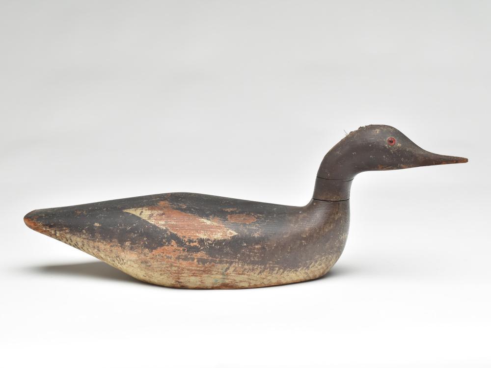 Swimming merganser hen, probably Cape Cod, (1 of 3)