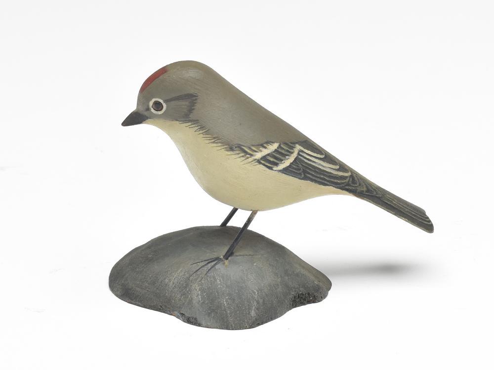 Ruby crowned kinglet, Jess Blackstone, Concord, New (1 of 3)