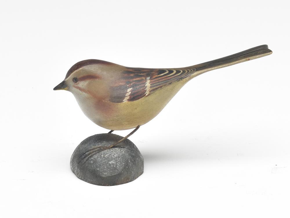 Tree sparrow, Jess Blackstone, Concord, New Hampshire. (1 of 3)