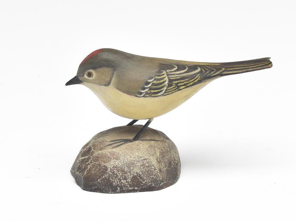 Ruby crowned kinglet, Jess Blackstone, Concord, New (1 of 3)