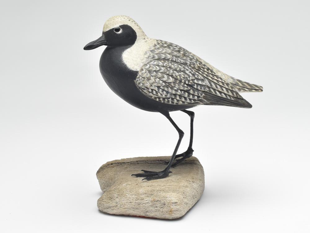 Full bodied decorative black bellied plover on stone (1 of 3)