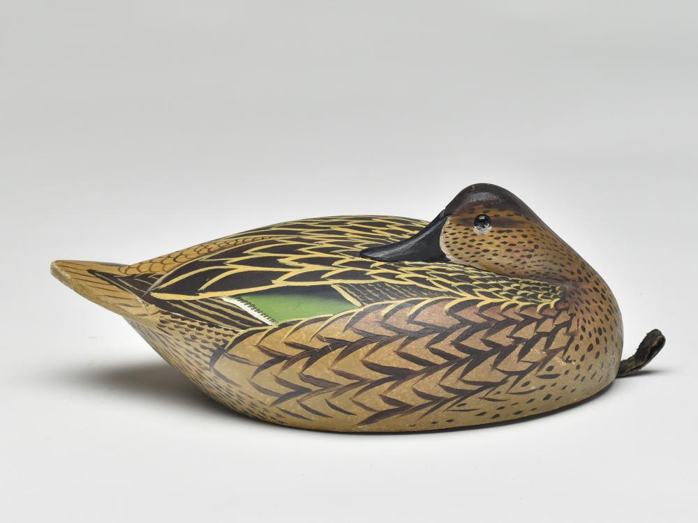 Important sleeping greenwing teal hen, carved by (1 of 4)