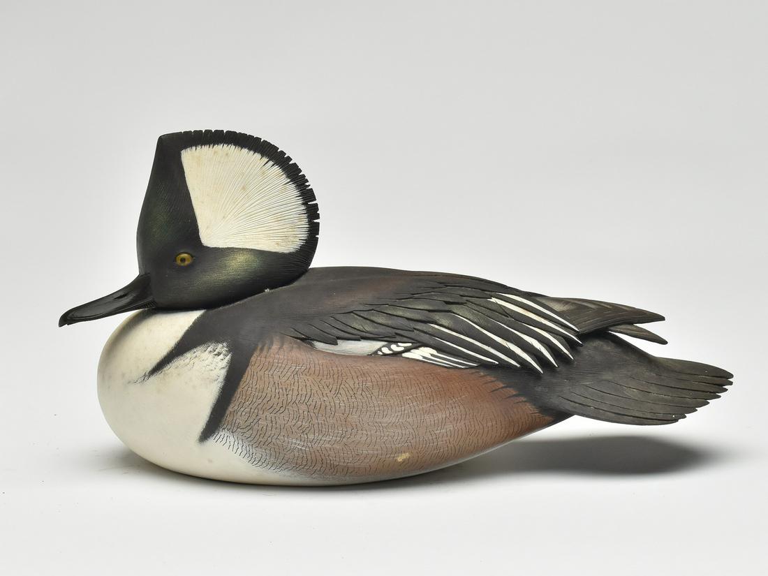 Decorative hooded merganser, Jim Schmiedlin, Bradfordwoods, Pennsylvania. (1 of 4)