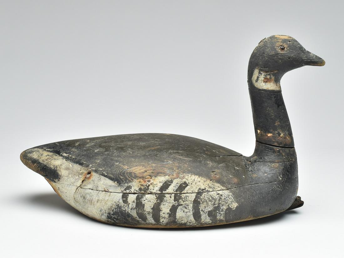 Early and stylish Pacific brant, identified as Jack McGee, Demin Island, British Columbia, 2nd (1 of 4)
