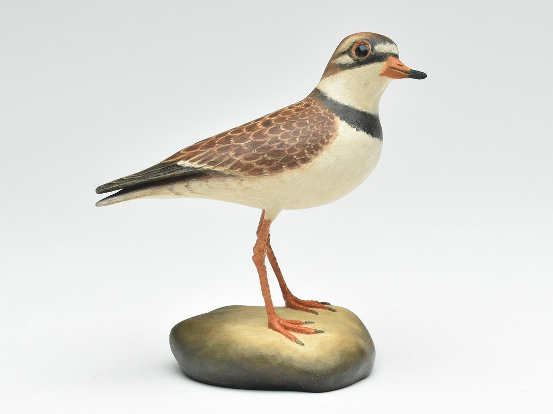 Miniature semipalmated plover, Frank Finney, Cape Charles, Virginia. (1 of 4)