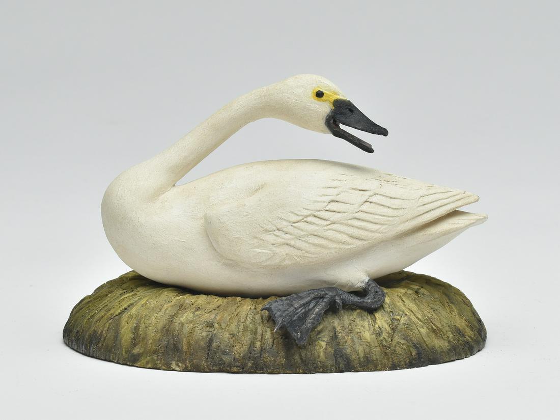 Miniature swan, Frank Finney, Cape Charles, Virginia. (1 of 4)