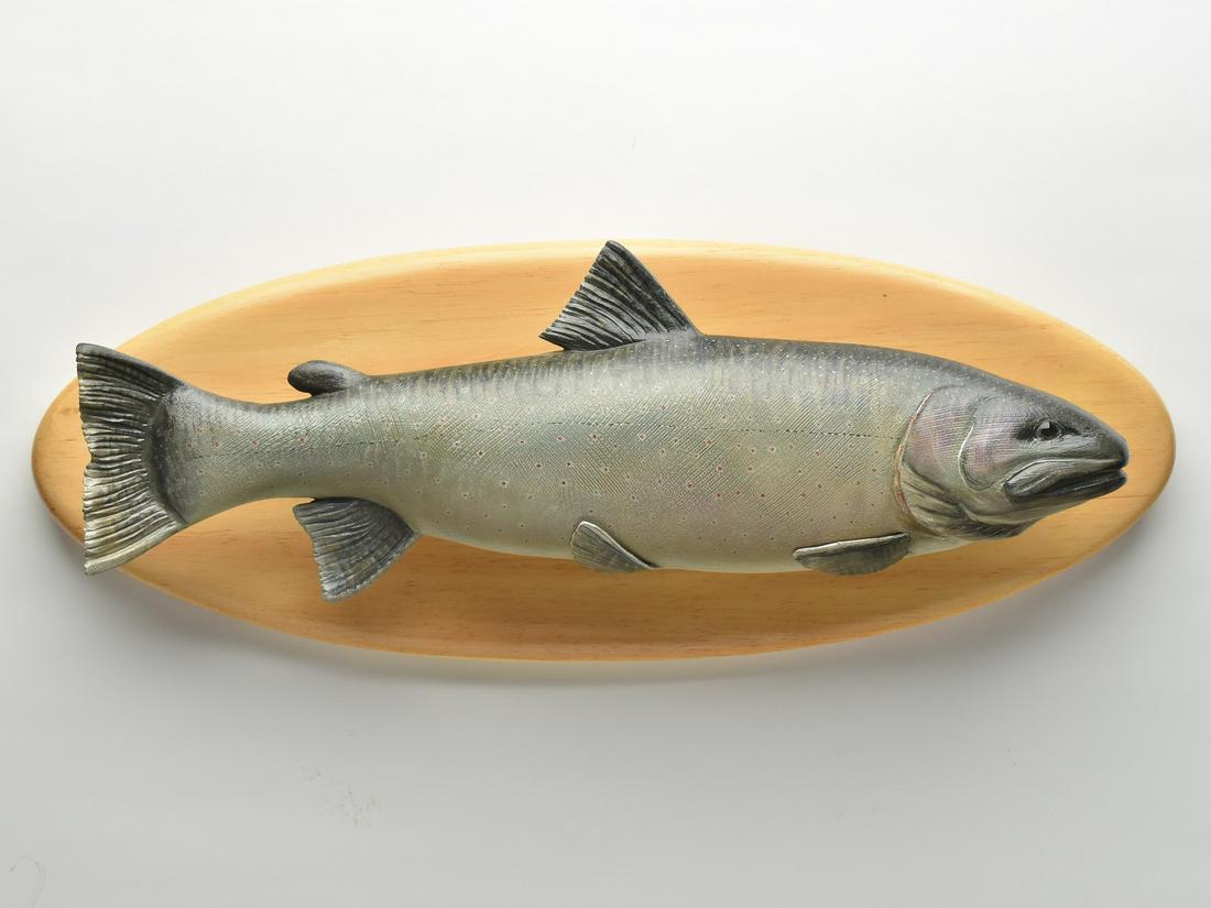 Bull trout, Mike Borrett, Oregon, Wisconsin. (1 of 3)