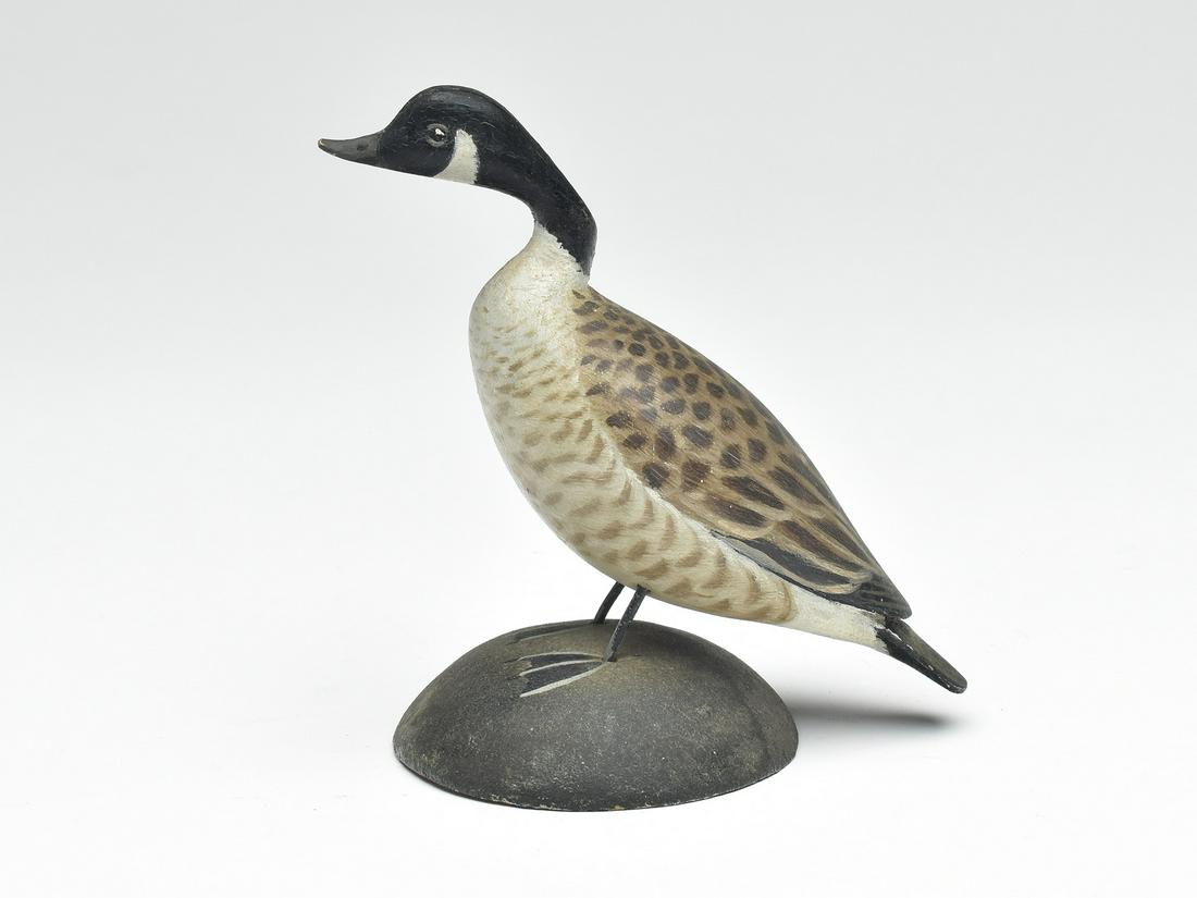 Miniature Canada goose, Elmer Crowell, East Harwich, Massachusetts. (1 of 4)