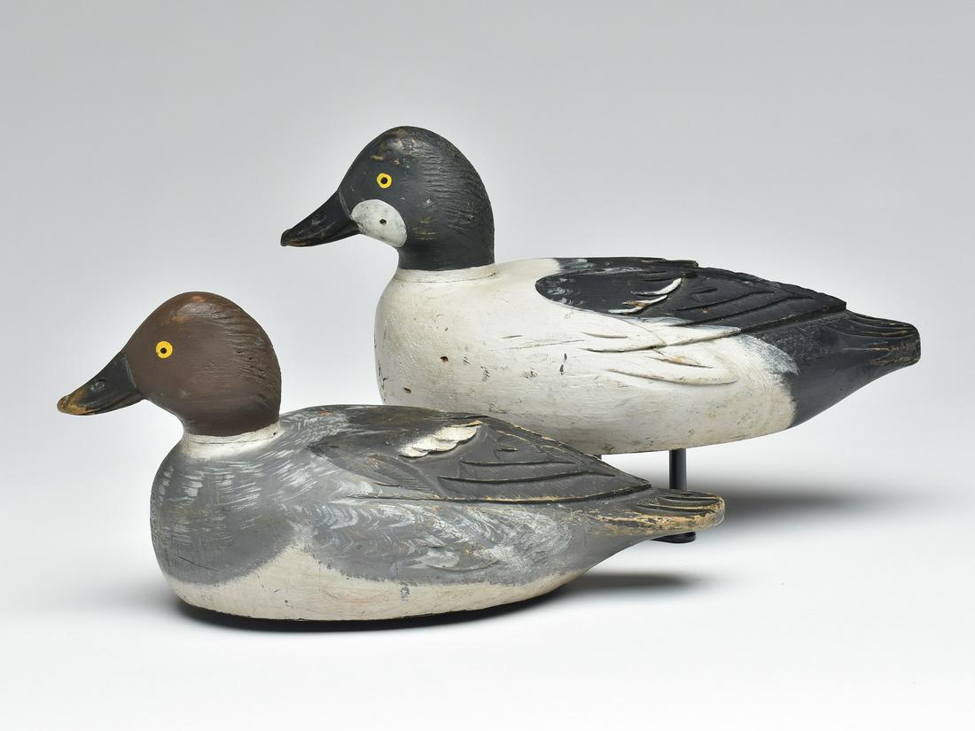 Pair of goldeneye, Orel LeBeouf, Saint Anicet, Quebec, circa 1930s. (1 of 3)