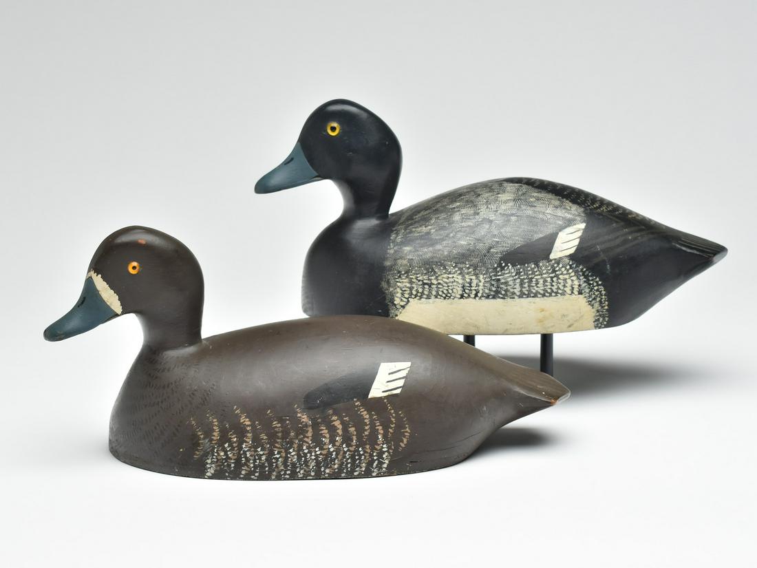 Rigmate pair of bluebills, Charles Buchanon, Gananoque, Ontario.: Rigmate pair of bluebills, Charles Buchanon, Gananoque, Ontario. 14" long. Hen has very slightly turned head. Good feather paint detail with combing on drake's back.