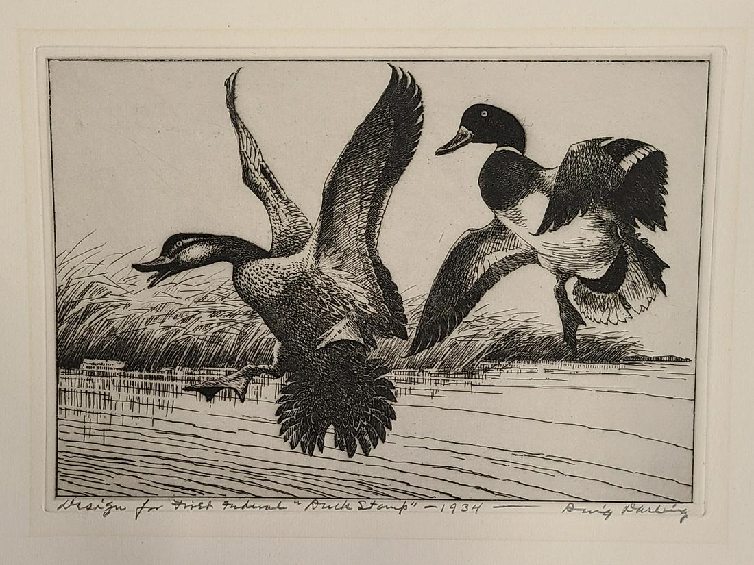 Very important duck stamp etching, Ding Darling. (1 of 2)
