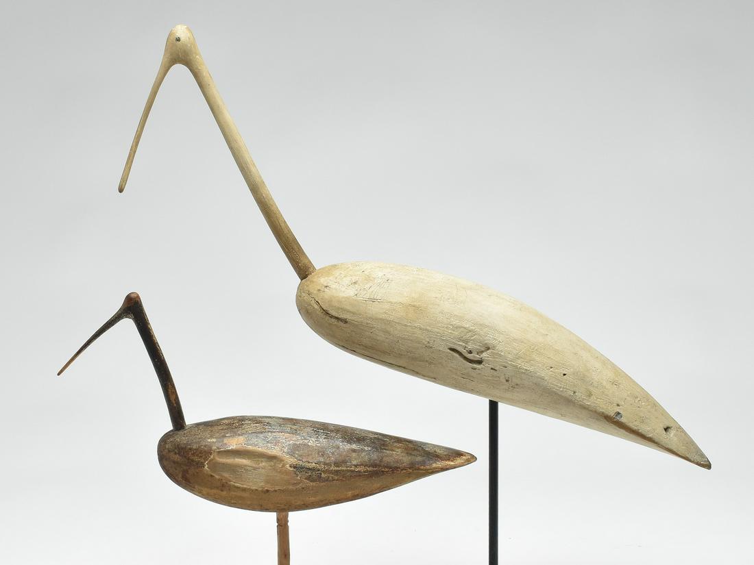 Egret and curlew, Lloyd Cargile, Baltimore, Maryland. (1 of 3)