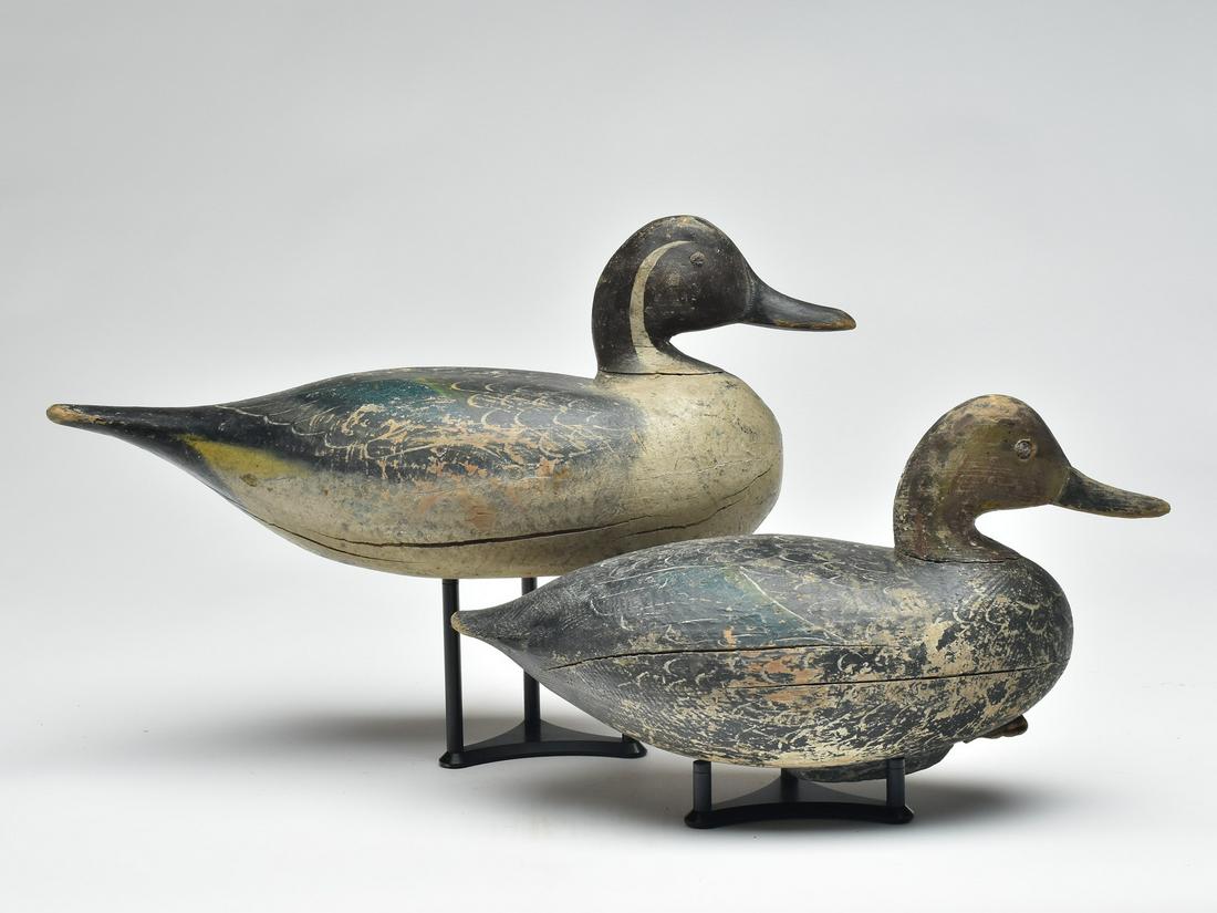 Pair of pintails, Norman Hudson, Chincoteague, Virginia.: Pair of pintails, Norman Hudson, Chincoteague, Virginia. Raised neck seat and tack eyes. Measure 15" and 18" long. Literature: "Ira Hudson and Family," Henry Stansbury, page 125 exact decoys.