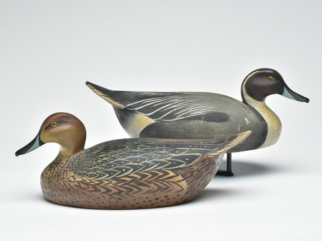 Rigmate pair of pintails, Ward Brothers, Crisfield, Maryland. (1 of 4)