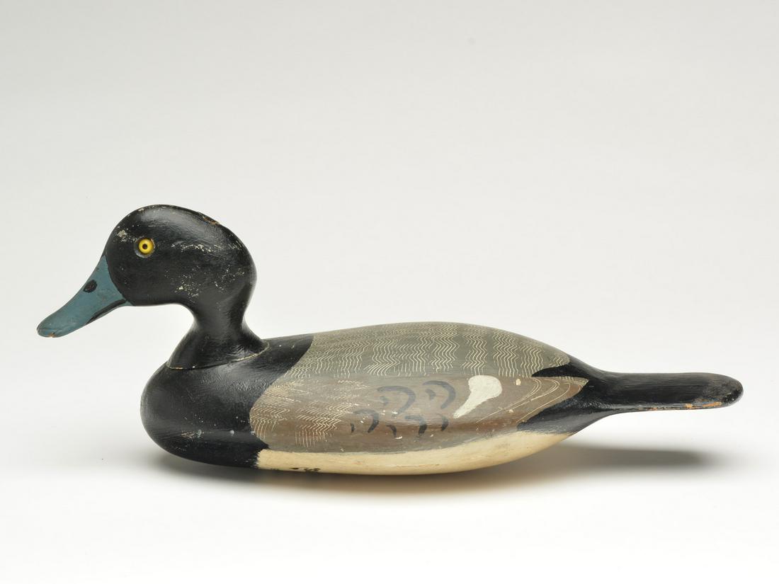 A near perfect example of a bluebill drake, George Stevens, Weedsport, New York, 3rd-4th quarter (1 of 4)