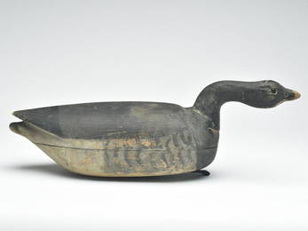 Swimming brant, Nathan Cobb, Jr., Cobb Island, Virginia, last quarter 19th century.