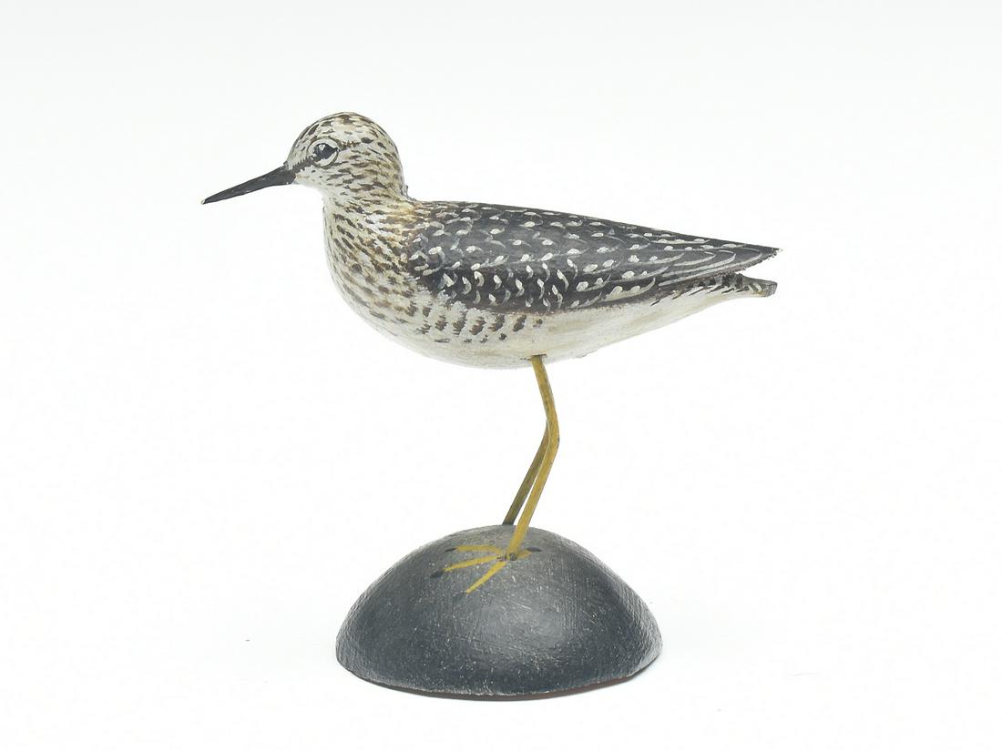 Miniature yellowlegs, Elmer Crowell, East Harwich, Massachusetts. (1 of 4)