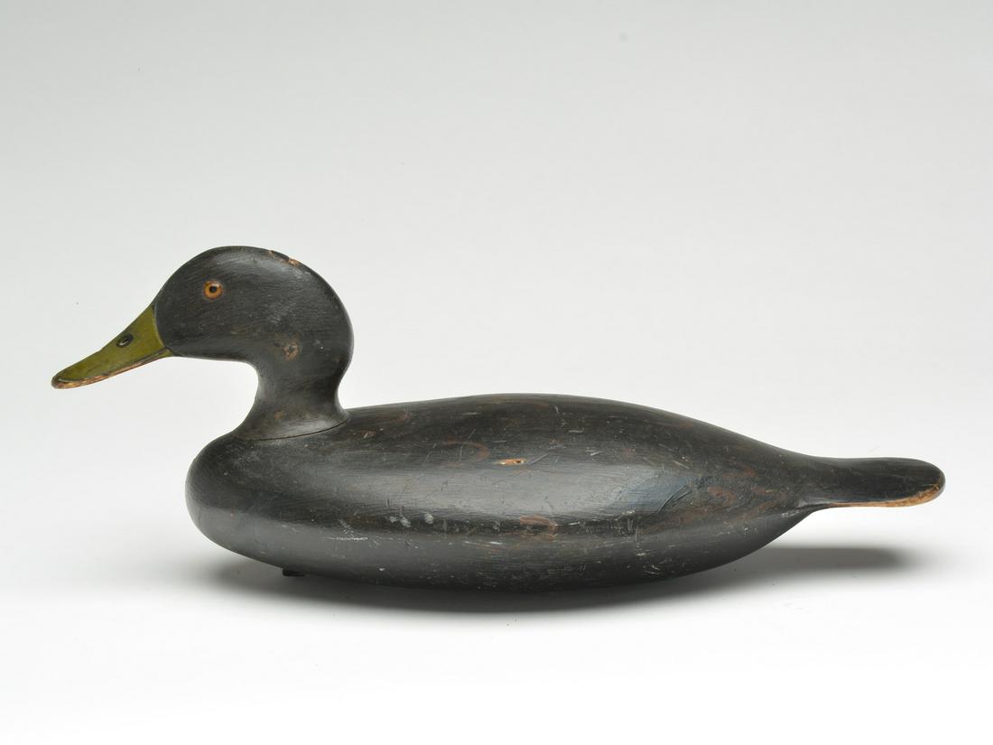 Black duck, Stevens Brothers, Weedsport, New York, last quarter 19th century. (1 of 3)