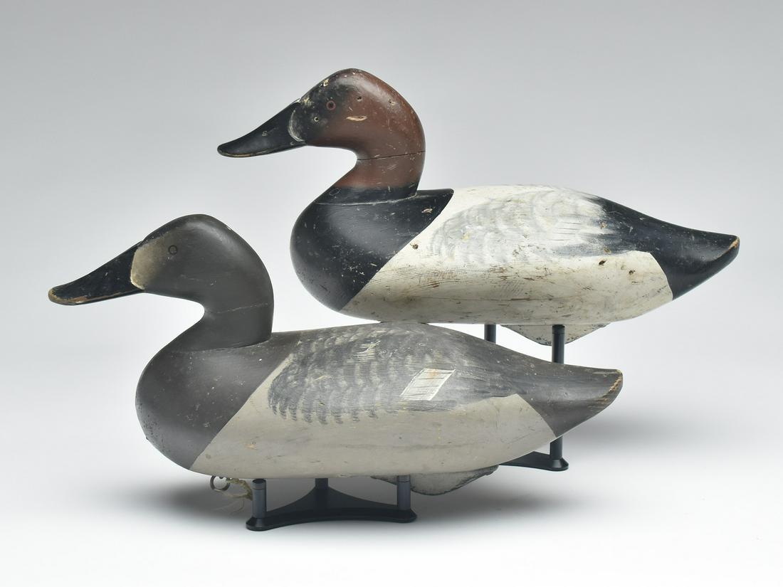 Pair of canvasbacks, Charlie Joiner, Chestertown, Maryland. (1 of 4)