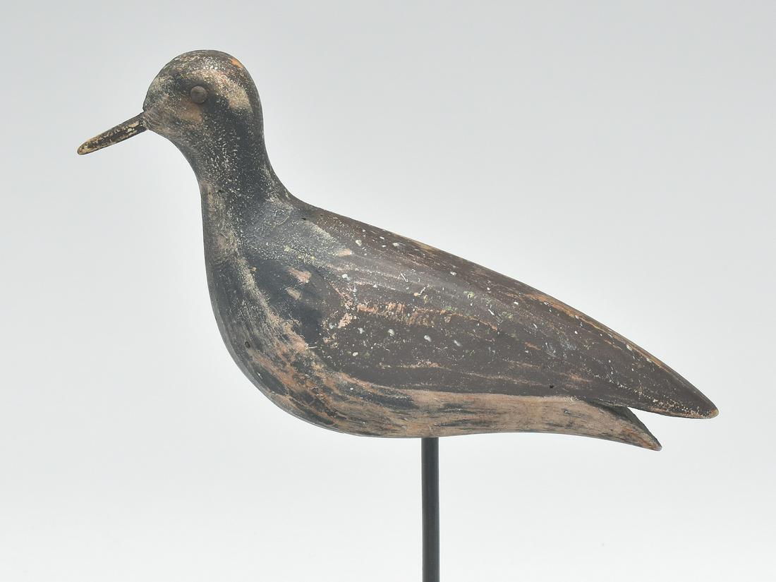Golden plover, Joseph Lincoln, Accord, Massachusetts, circa 1900. (1 of 4)