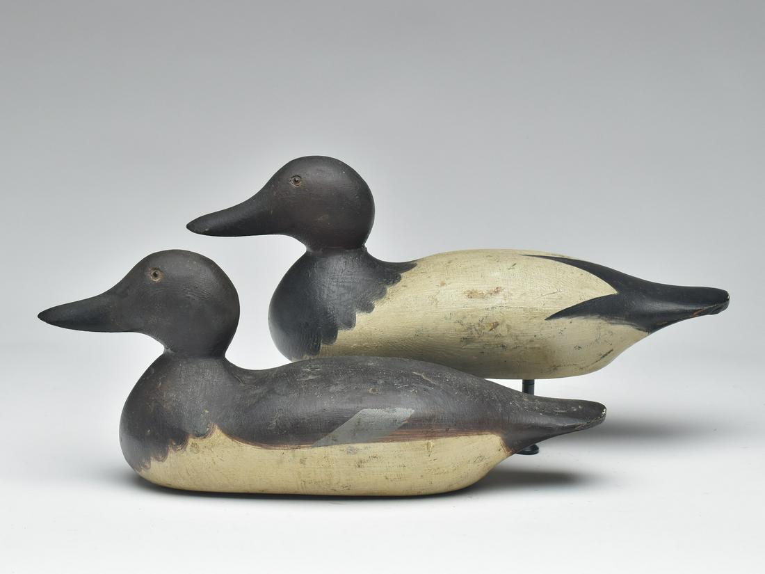 Rigmate pair of canvasbacks, Hays Decoy Factory, 2nd quarter 20th century. (1 of 4)