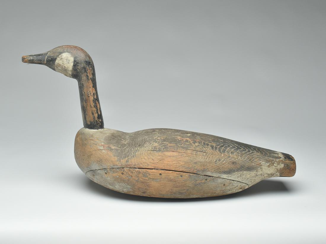Root head Canada goose, Elliot Brothers, Easton, Maryland, 2nd quarter 20th century.: Root head Canada goose, Elliot Brothers, Easton, Maryland, 2nd quarter 20th century. Applied root head and neck with incised bill carving. Measures 28" long. Provenance: Charles Long collection. Liter