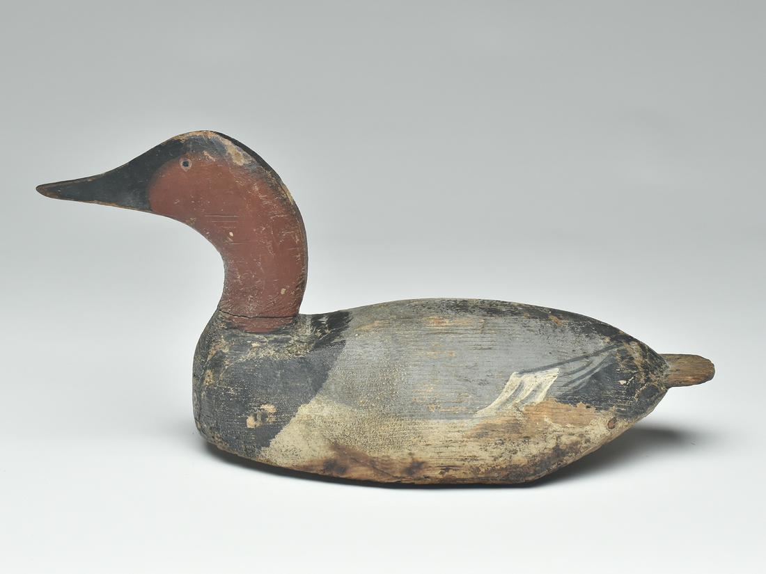 High head canvasback, Lloyd Tyler, Crisfield, Maryland, circa 1930s.: High head canvasback, Lloyd Tyler, Crisfield, Maryland, circa 1930s. Raised and slightly turned head. Measures 17.75" long. Provenance: Charles Long collection. Notes: Decoy