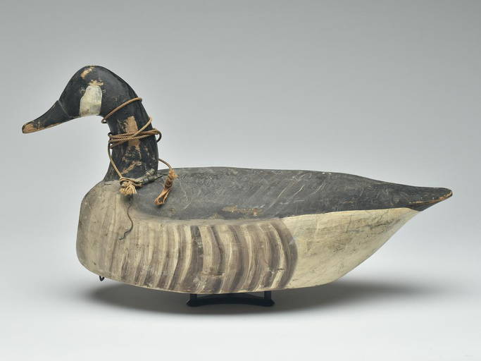 Canada goose, Miles Hancock, Chincoteague, Virginia, 2nd quarter 20th