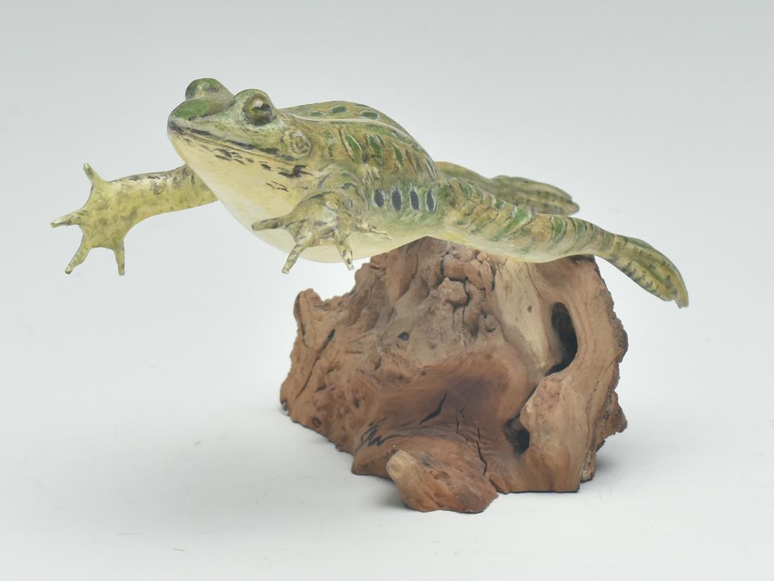 Leaping leopard frog mounted on base, Steve Weaver, Cape Cod, Massachusetts. (1 of 4)