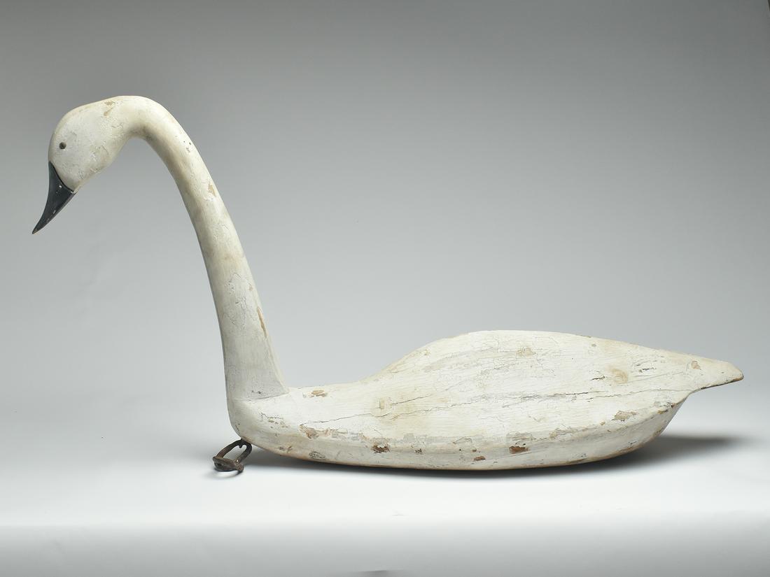 Large swan decoy, Eastern Shore Maryland, possibly made by Danny Brannock of Cambridge, Maryland. (1 of 3)