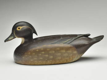 Extremely rare wood duck hen, Ferd Homme, Stoughton, Wisconsin, 2nd quarter 20th century.