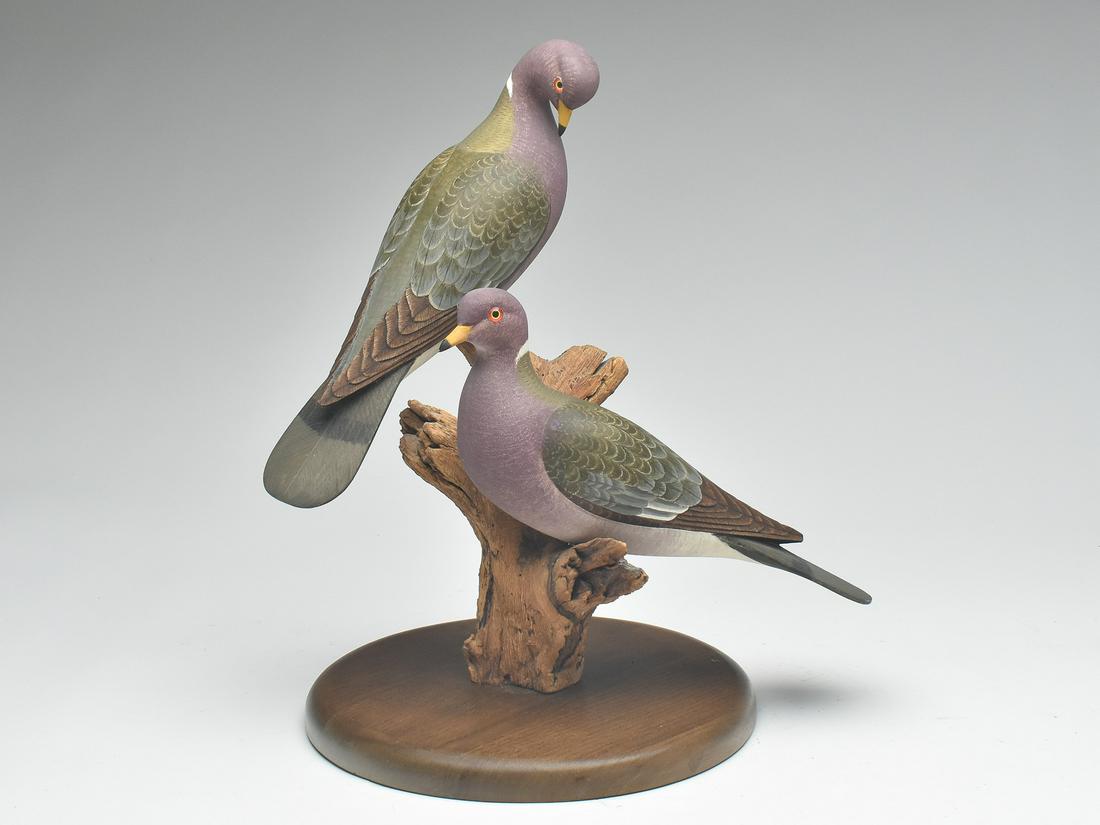 Extremely rare pair of band tailed pigeons, Harold Haertel, Dundee, Illinois. (1 of 4)