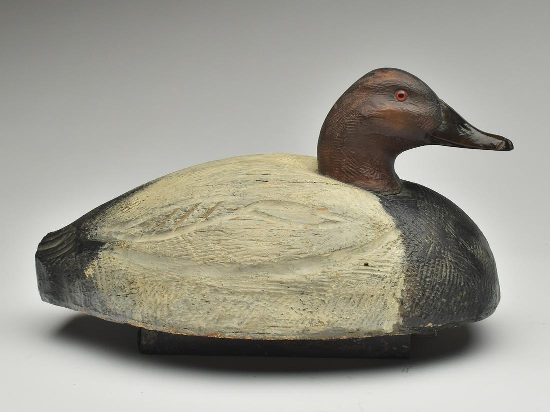 Working canvasback, Tom Schroeder, Detroit, Michigan, 2nd quarter 20th century. (1 of 4)