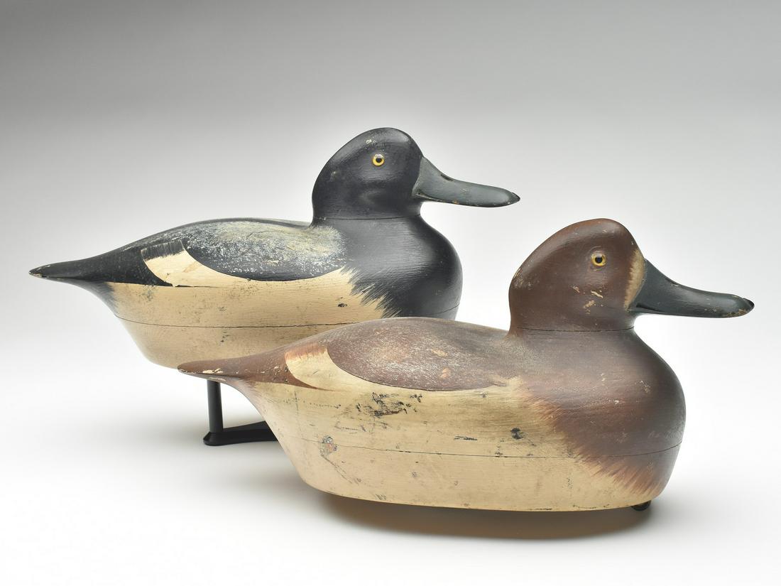 Pair of low head bluebills, Paul Lipke, Whiting, Indiana. (1 of 4)