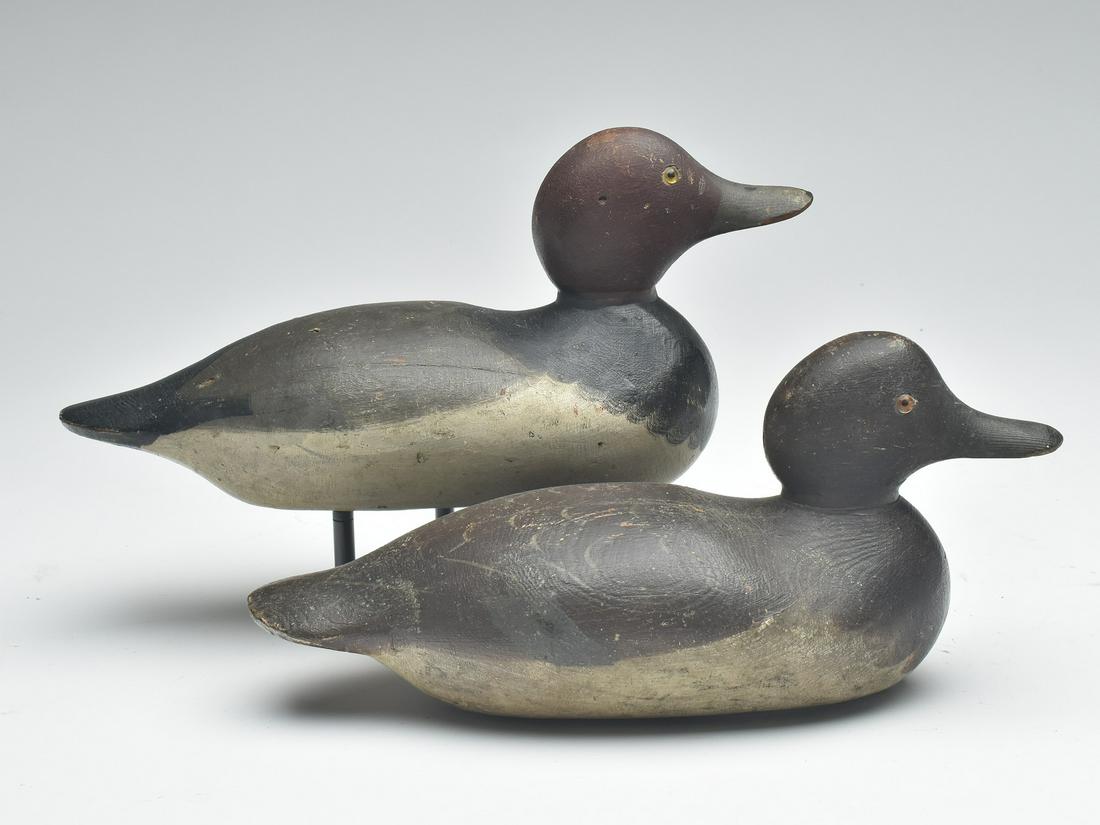 Pair of redheads, Mason Decoy Factory, Detroit, Michigan, 1st quarter 20th century. (1 of 1)