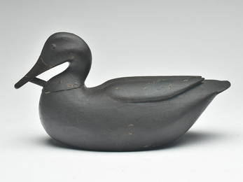 Rare and important black duck, Caines Brothers, Georgetown, South Carolina.