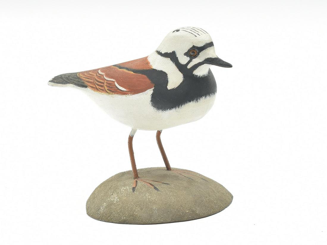 Miniature ruddy turnstone, Jess Blackstone, Concord, New Hampshire, 2nd quarter 20th century. (1 of 3)