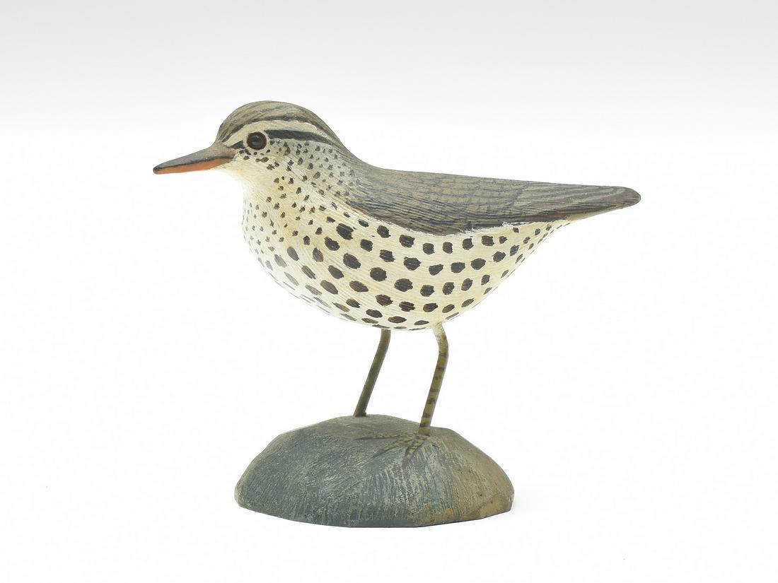 Miniature spotted sandpiper, Jess Blackstone, Concord, New Hampshire, 2nd quarter 20th century. (1 of 3)