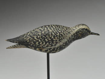 Running black bellied plover, Elmer Crowell, East Harwich, Massachusetts, 1st quarter 20th century.