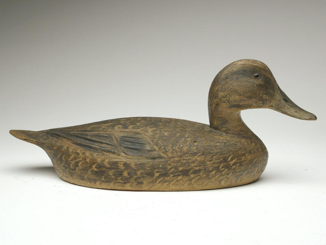 Early pintail hen, Ben Schmidt, Detroit, Michigan, 2nd quarter 20th century. (1 of 4)