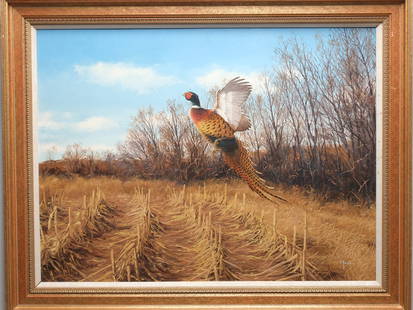 David Maass (b.1929), oil on board.: A single flushing pheasant. Signed lower right. Measures 23.5" x 31.5". Provenance: Ex Robert Peterson collection. Coerud'alene Auction 2000. Paderewski Fine Art. Private Washington collection.