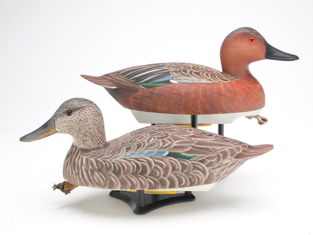 Pair of Cinnamon teal, Ron Rue, Dorchester City, Maryland. (1 of 4)