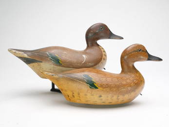 Pair of greenwing teal, Charles Bergman, Astoria, Oregon, 2nd quarter 20th century.