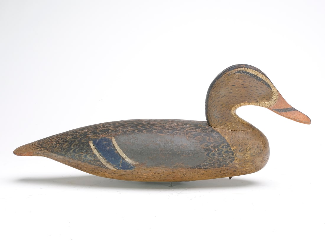 Mallard hen, Mark Whipple, Bourg, Louisiana, 2nd quarter 20th century.: Fine feather painting on back of decoy. 15" long.