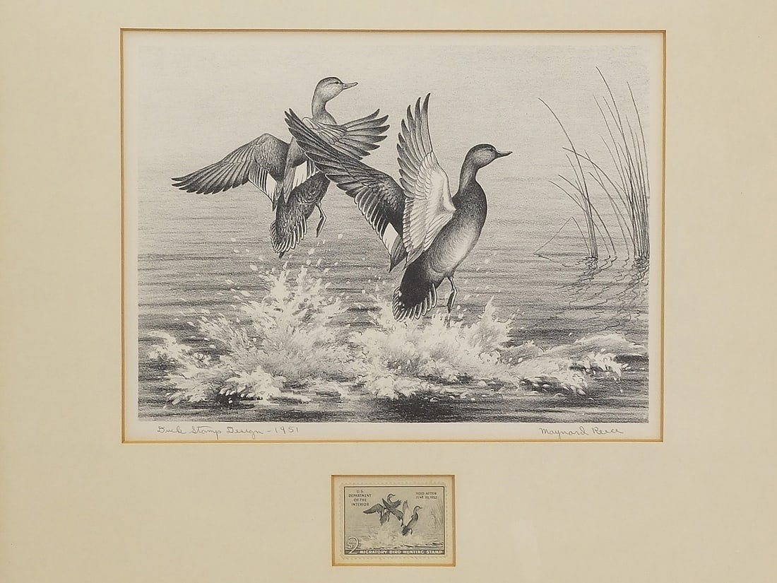 Group of framed Federal duck stamp prints. (1 of 4)