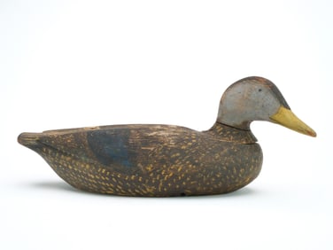 Augustus "Gus" Wilson (1864-1950), South Portland, Maine.