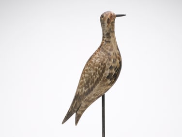 Joseph Lincoln (1859-1938), Accord, Massachusetts.