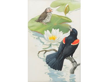 Roger Tory Peterson (1908-1996), watercolor.